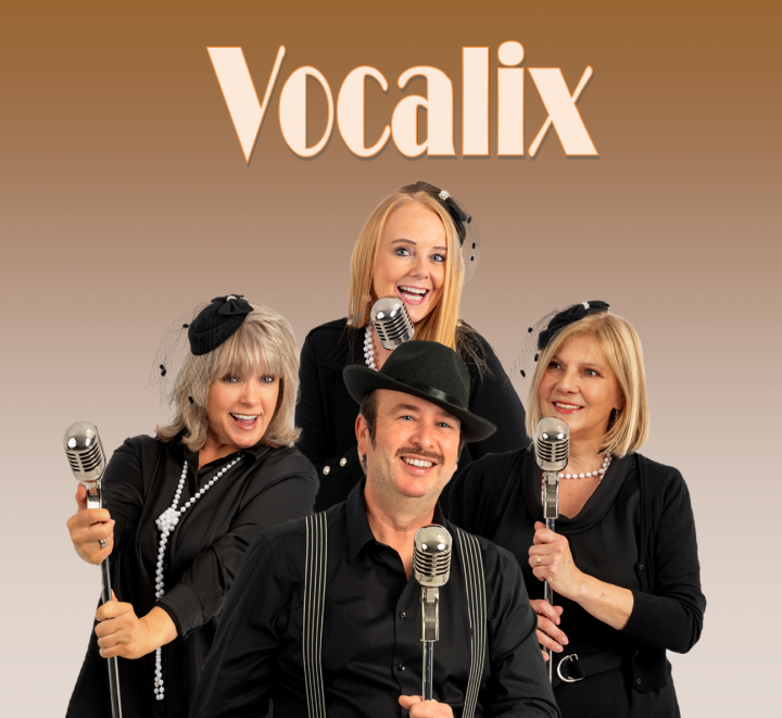Vocalix 