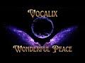 Wonderful Peace- Performed by Vocalix